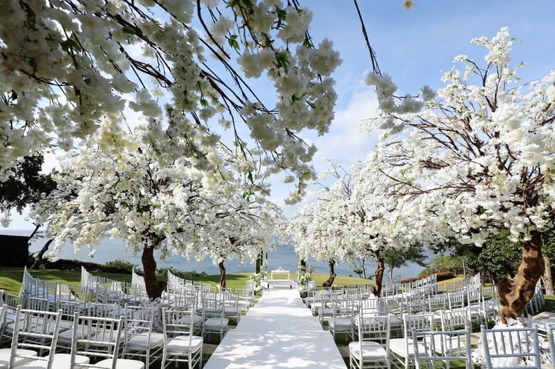  Elegant wedding aisle setup at Ayana Sky Amphitheatre, lined with white blossom trees and silver chairs, overlooking a serene ocean view. 